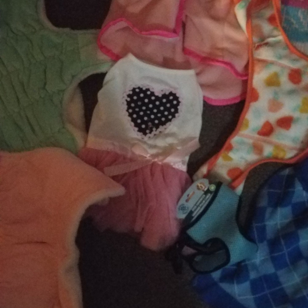 Dog clothes - Picture 6 of 8